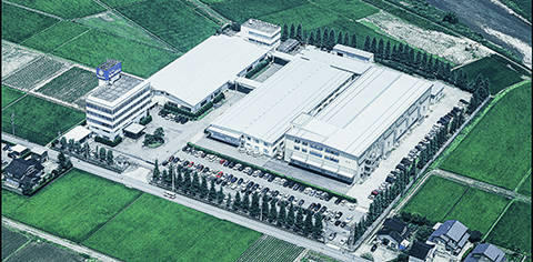 Factories (Head Factory and Thailand Factory)